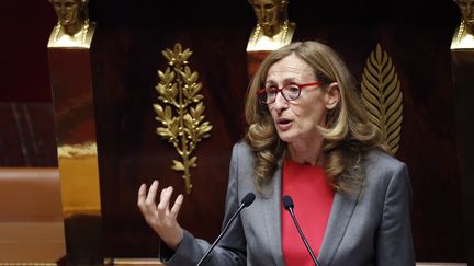 La garde des Sceaux, Nicole Belloubet, le 24 juillet 2017 à l'Assemblée nationale.&nbsp; (FRANCOIS GUILLOT / AFP)