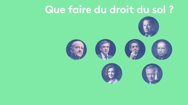 Primaire à droite : comparez les programmes sur l'immigration des candidats