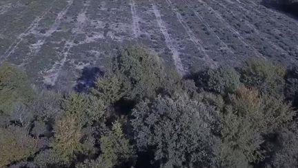 Jour du dépassement : un indicateur qui alerte sur l’urgence de sauvegarder les ressources de la planète. (FRANCEINFO)