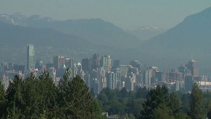 Canicule : le Canada frôle les 50 degrés