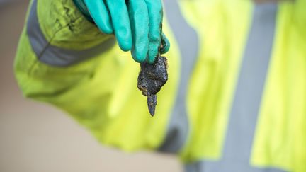 A Olonne-sur-Mer (Vend&eacute;e), toutes les plages ont &eacute;t&eacute; ferm&eacute;es au public en raison d'une pollution aux hydrocarbures, comme ici le 10 f&eacute;vrier 2014. (  MAXPPP)