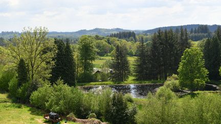 Des fouilles ont été lancées en Corrèze pour trouver une fosse commune avec des restes de soldats allemands. Près de Meymac, au lieu dit Le Vert, le 15 mai 2023. (STÉPHANIE PARA / MAXPPP)