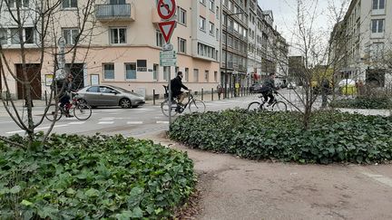 Des cyclistes dans une rue de Strasbourg (Bas-Rhin). Photo d'illustration. (CORINNE FUGLER / FRANCE-BLEU ALSACE (+ FB ELSASS))