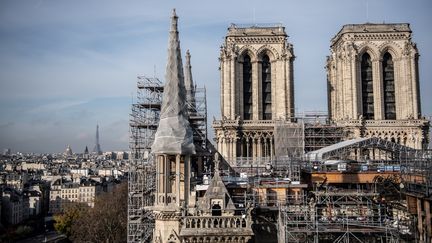 Cathédrale de Notre-Dame : à la recherche de chênes centenaire pour reconstruire la flèche