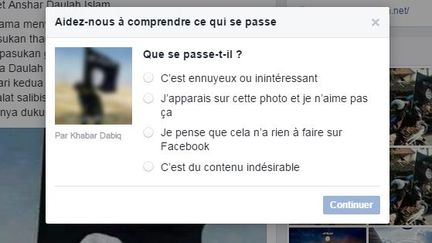Capture d'écran de l'outil de signalement de Facebook. (FACEBOOK / FRANCETV INFO)