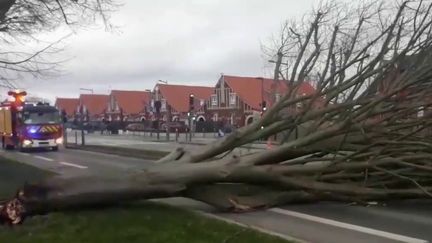 Tempête Ciara : 42 départements en alerte