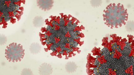 Des particules de coronavirus (illustration). (CHRISTOPH BURGSTEDT/SCIENCE PHOT / CBR)