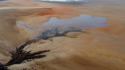 Le lac de Fuente de Piedra, à 70 kilomètres de Malaga (Espagne), le 15 février 2022. (JORGE GUERRERO / AFP)