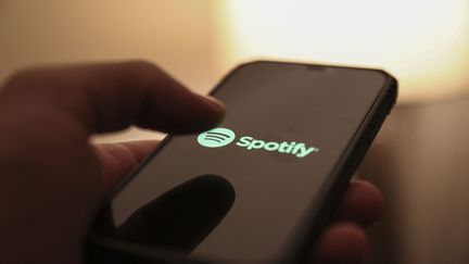 L'application Spotify, le 19 novembre 2021. (RASIT AYDOGAN / ANADOLU AGENCY / AFP)