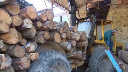 Crise énergétique : les arnaques aux pellets de bois se multiplient