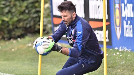 Un millier de rencontres professionnelles&nbsp;vendredi 24 mars pour&nbsp;Gianluigi Buffon, à l'occasion du match Italie-Albanie. (MAXPPP)