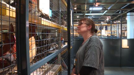 Le Musée d'histoire naturelle de Lille ouvre ses réserves au public pour célébrer ses 200 ans. (CAPTURE D'ÉCRAN FRANCE 3 / L. MARTIN)