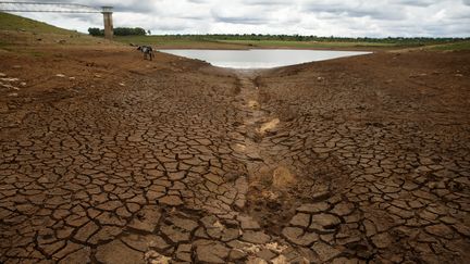 Lac de barrage atteint par la sécheresse près de Bulawayo, dans le sud-ouest du Zimbabwe. Photo prise le 18 janvier 2020. (REUTERS - PHILIMON BULAWAYO / X02381)