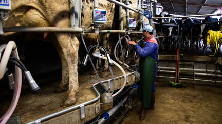 Un agriculteur à Jurignac (Charente), le 6 juin 2020. (MAXPPP)