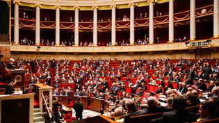 Les questions au gouvernement à l'Assemblée nationale, à Paris, le 3 février 2015. (CITIZENSIDE/JALLAL SEDDIKI/CITIZENSIDE)