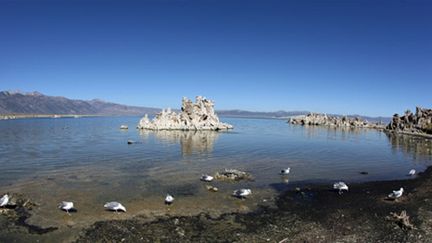 Le lac Mono (Californie) (AFP - GABRIEL BOUYS)