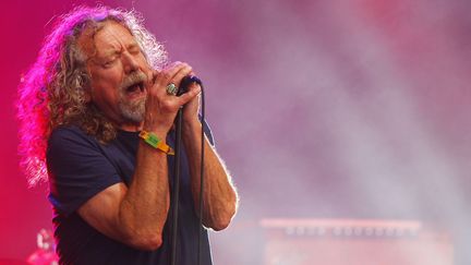 Robert Plant, l'un des géants du rock, toujours maître du micro. Ici en juin 2015.
 (Wade Payne/AP/SIPA)