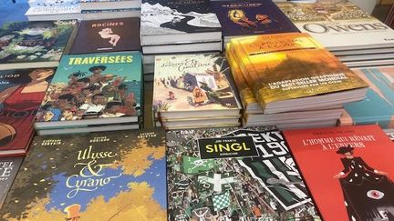 Rayon BD et romans graphiques de la librairie indépendante "Le Merle moqueur" à Paris, le 4 juillet 2024. (Mohamed Berkani)