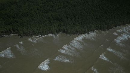 Total a déjà investi près de 58 millions d’euros. Pourtant le groupe ne sait pas quand il pourra commencer son exploration. Le procureur de l’Etat d’Amapá vient de recommander officiellement à l’Agence environnementale brésilienne (IBAMA) de suspendre les licences des compagnies pétrolières pour ce projet de forage exploratoire en eau profonde. L’IBAMA a confirmé cette demande en ne donnant aucune précision sur les délais pour la délivrance des autorisations. (REUTERS/Ricardo Moraes)