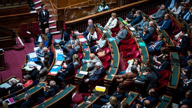 Senators at the Luxembourg Palace, May 31, 2023 in Paris.  (XOSE BOUZAS / HANS LUCAS / AFP)