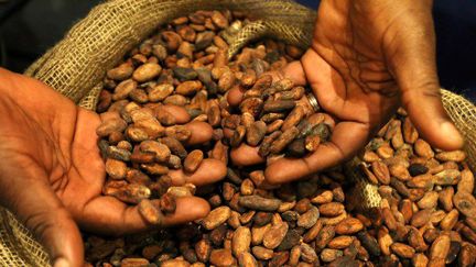 Un homme montre des fèves de cacao lors de la conférence mondiale sur le cacao initiée par l'ICCO le 23 avril 2018 à Berlin, en Allemagne (WOLFGANG KUMM / DPA)