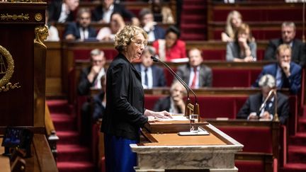 La ministre du Travail Muriel Pénicaud à l'Assemblée nationale lors des discussions sur le projet de loi d'habilitation sur la loi Travail, le 10 juillet 2017. (MAXPPP)