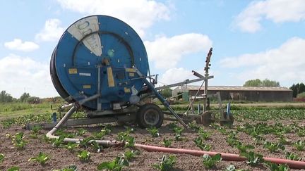 Touchés par la sécheresse, les agriculteurs cherchent de nouvelles méthodes