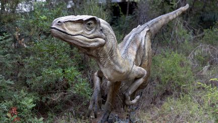 The future dinosaur park in Trévoux (Ain) divides the town, its opponents denouncing damage to the environment.  (GUILLAUME BONNEFONT / MAXPPP)