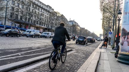 Un homme roule à vélo à Paris.&nbsp; (BRUNO LEVESQUE / MAXPPP)