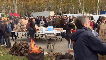 À Bordeaux, une surproduction de vin suscite l'inquiétude et la colère des viticulteurs, qui réclament un plan d'arrachage de vignes de plusieurs milliers d'hectares, car il y a trop de vin sur le marché, disent-ils, ce qui les pénalise. (France 2)