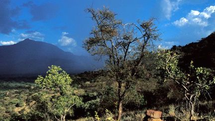 Si le lac Turkana, qui tire 80% de ses ressources du fleuve Omo, risque d’être très vite asséché, la basse vallée de l'Omo, un site préhistorique, est également menacé. 

Tous deux sont inscrits au patrimoine mondial de l’Unesco. (AFP/ BENALI Remi)