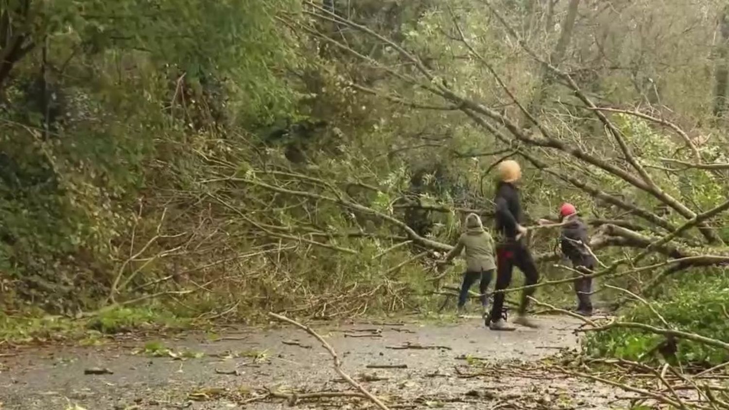 Tempête Ciaran Les Sinistrés Sentraident Face Aux Dégâts 4218