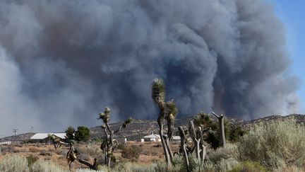 L'incendie Blue Cut a enfumé le ciel californien autour de San Bernardino, le 16 août 2016. (GENE BLEVINS / REUTERS)