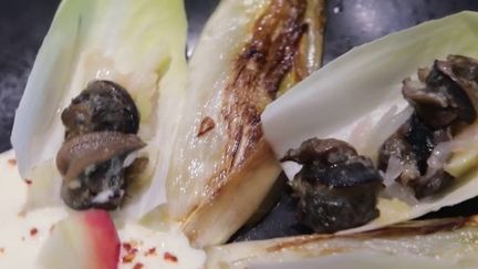 Cuisine : la poêlée d'endives aux escargots et fondue de Maroilles, spécialité ch'timi de Pépée le Mat