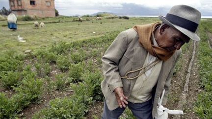 Paysan bolivien d'origine indienne aymara, dans le village de Soncochi à 90 kilomètres au nord de La Paz, la capitale, sur les rives du lac Titicaca (13 janvier 2004). (REUTERS - David Mercado)