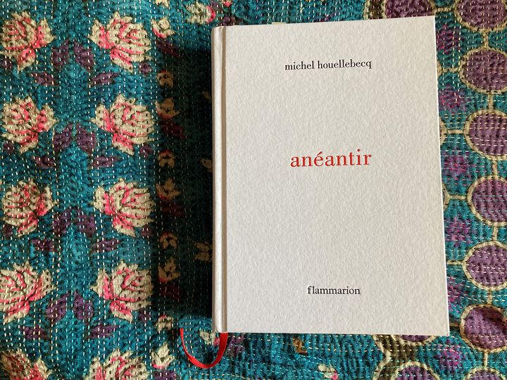 "Anéantir", de Michel Houellebecq, Flammarion, 2021 (LAURENCE HOUOT / FRANCEINFO CULTURE)