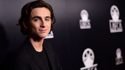 Timothée Chalamet, 13 janvier 2018
 (Matt Winkelmeyer / GETTY IMAGES NORTH AMERICA / AFP)