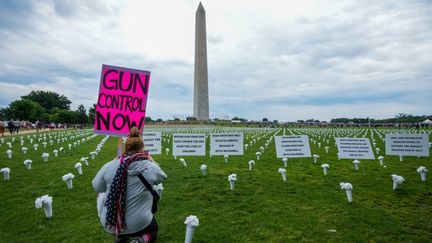 USA: une proposition de loi pour restreindre l'accès aux armes à feu 