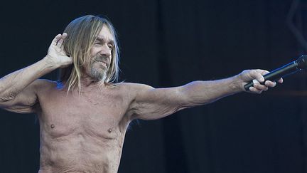 Iggy Pop en concert à l'île de Wight le 11 juin 2016.
 (Mark Holloway /Getty Images)