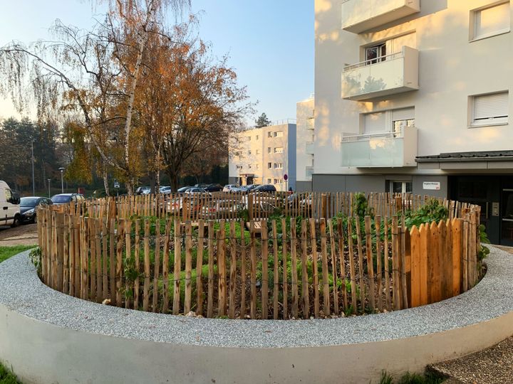 De leurs appartements, les locataires ont vu sur leur potager.&nbsp; (ISABELLE MORAND / RADIO FRANCE / FRANCE INFO)