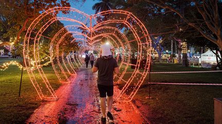 A la tombée du jour, une piste est éclairée par plus d'un million d’ampoules. Elle permet aux visiteurs de découvrir les différentes espèces végétales et de s’initier à la botanique en plein air.&nbsp; &nbsp; (RAJESH JANTILAL / AFP)