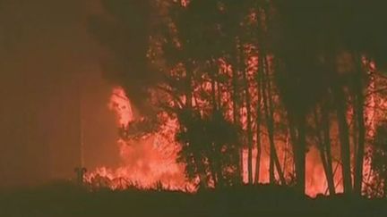 Les feux de forêt dans le district de Leiria (Portugal), le 17 juin 2017. (DR)