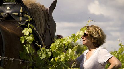 Fiona Beeston au milieu de ses vignes, à Chinon. (CLOS DES CAPUCINS)