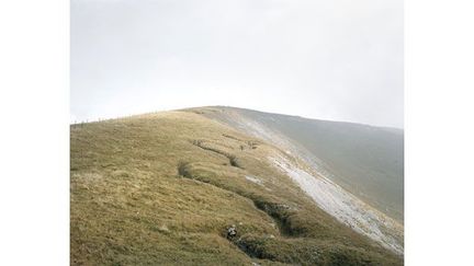 La ligne qui sinue sur cette photo est une tranchée de la guerre de 1914-18. Paola De Pietri a travaillé sur les traces laissées par la Grande guerre dans les Alpes, aux confins entre l&#039;Italie et l&#039;Autriche. Ce conflit est encore dans les mémoires, grâce aux récits des grands-parents. Les traces se sont progressivement fondues dans le paysage. &quot;Les paysages qui semblent naturels sont en fait le résultat de batailles livrées et de vies vécues tous les jours pendant des années par des centaines de milliers de soldats&quot;, écrit la photographe.
	 
 (© Paola De Pietri, Courtesy of the artist)