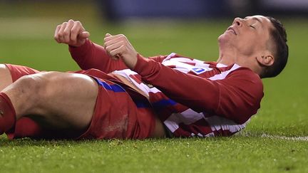 L'attaquant de l'Atletico Madrid, Fernando Torres (MIGUEL RIOPA / AFP)