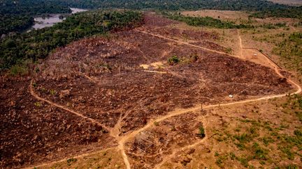 La déforestation dans le bassin amazonien de la municipalité de Colniza (Brésil). le 29 août 2019. (MAYKE TOSCANO / MATO GROSSO STATE COMMUNICATION / AFP)