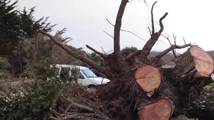 Intempéries : place aux réparations sur l'Île d'Yeu (france info)