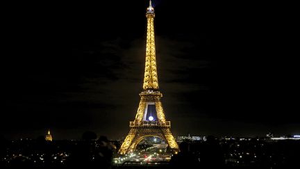 La tour Eiffel illuminée pendant la conférence climat, le 26 novembre 2015.&nbsp; (KENZO TRIBOUILLARD / AFP)