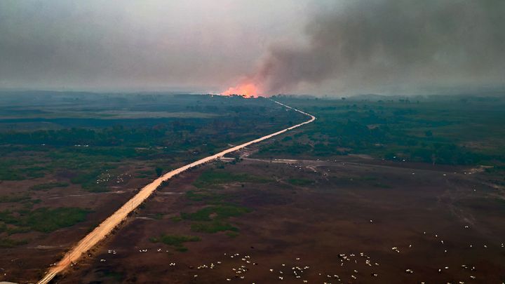 Zones humides du Pantanal, au Brésil, le 19 novembre 2023. Selon les spécialistes, ces incendies sont principalement provoqués par l'action humaine, notamment le recours aux techniques d'abattis-brûlis pour l'expansion agricole, aggravée par une sécheresse exceptionnelle. (ROGERIO FLORENTINO / AFP)