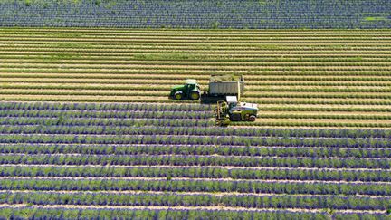 A field in the Verdon natural park, in the south of France, October 26, 2023. (CHAPUT FRANCK / HEMIS.FR / AFP)